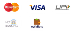 Accepted payment methods. visa card, master card, upi payments, net banking